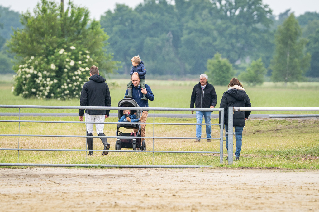 DSC09739 | Pferdegrafie