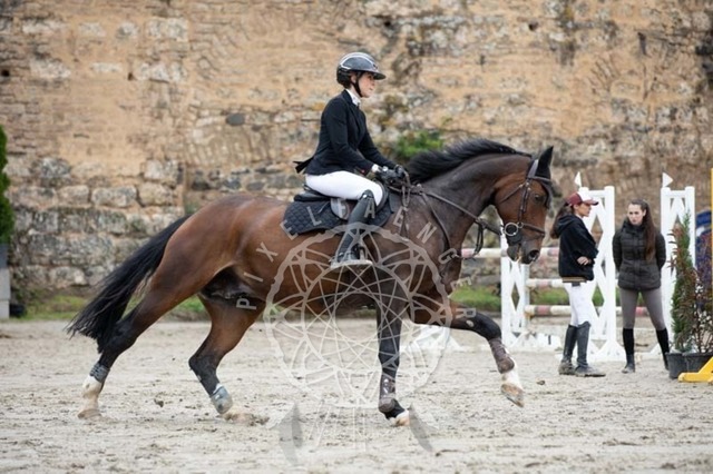 2B4A3498 | pixelfaenger - Realisiert mit Pictrs.com