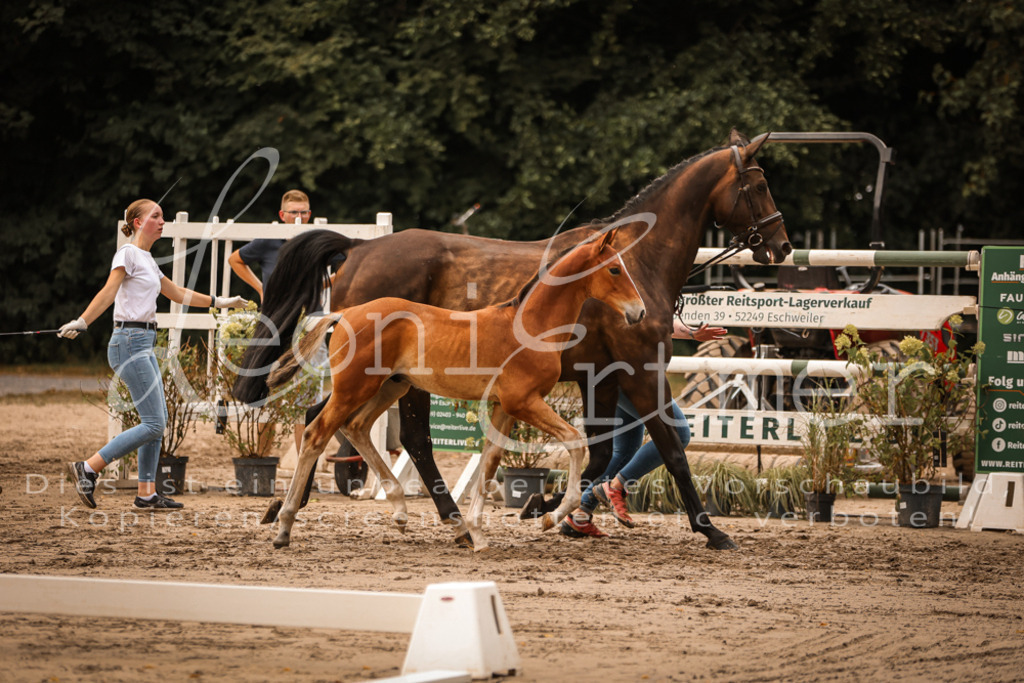 SaPA00231 | Leoni Ertmer Photography - Realisiert mit Pictrs.com