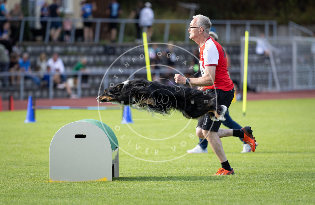 Pfotenfotografie_DV3A2768 | Hundefotografie, Tierfotograf, Pfotenfotografie, Fotoshooting Hund, Hunde Portrait, Hundesport, Hundeportraits, Heideshooting, Hunde, Sportfotograf, Hundefotograf, Turnierhundsport, THS,  - Realisiert mit Pictrs.com