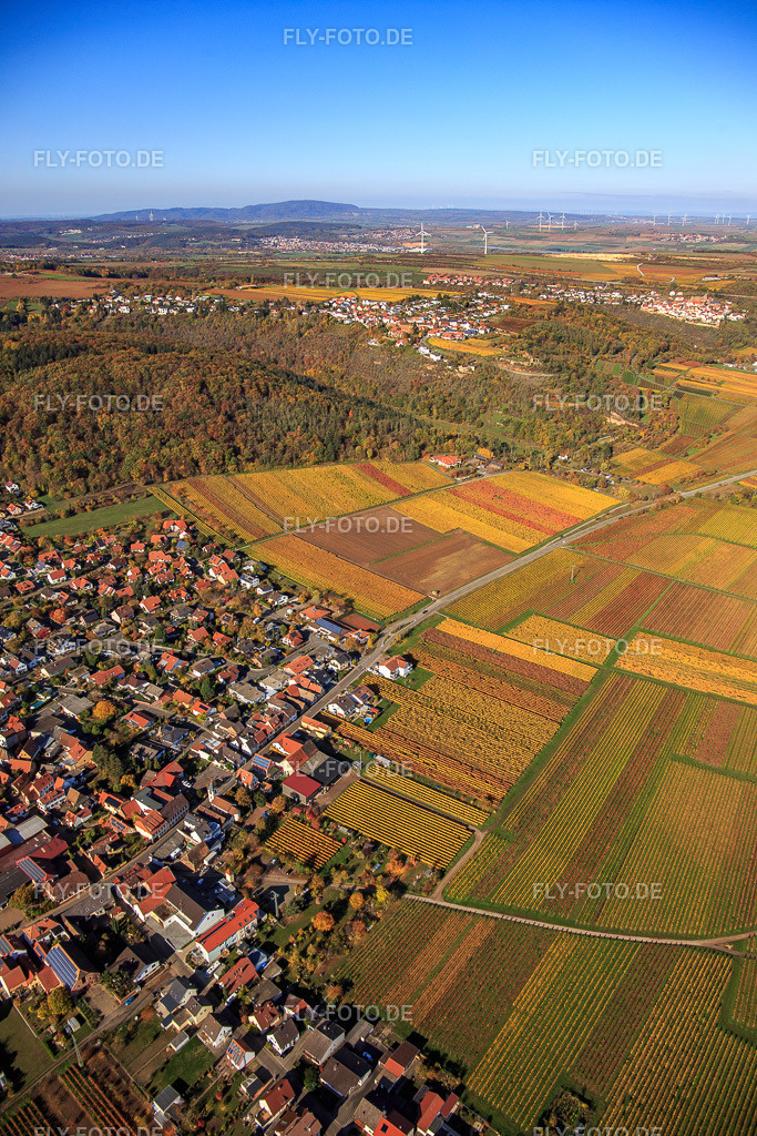 Ortsansicht aus Südosten inmitten herbstlich gefärbter Weinberge | Luftbild: Ortsansicht aus Südosten inmitten herbstlich gefärbter Weinberge in Bobenheim am Berg im Bundesland Rheinland-Pfalz in Deutschland. Foto: IMG_123651.jpg vom 31.10.2020 durch Werner Riehm/FLY-FOTO.de - Realisiert mit Pictrs.com