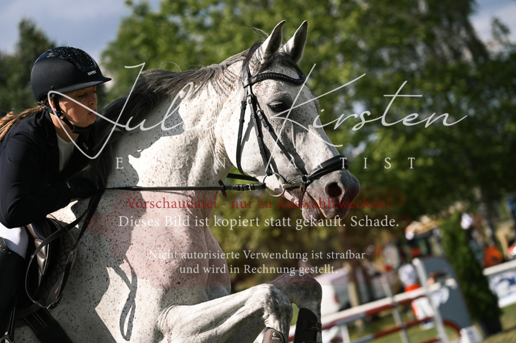 DSC_1069 | Pferde- und Turnierfotografie in Westsachsen. Pferdeportraits, Auftragszeichnungen und intuitive Kunst.