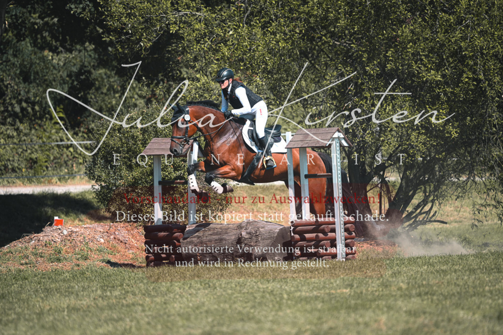 DSC_8299-2 | Pferde- und Turnierfotografie in Westsachsen. Pferdeportraits, Auftragszeichnungen und intuitive Kunst.