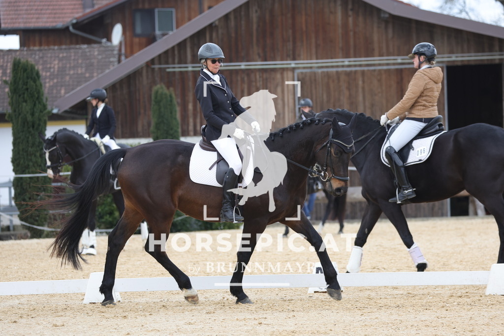 0P6A7220 | Willkommen bei Brunnmayr - Design & Fotografie – Ihrem Spezialisten für Reitturniere und Pferdeveranstaltungen in Oberösterreich, Salzburg und Bayern! Seit über 17 Jahren sind wir leidenschaftlich dabei.
