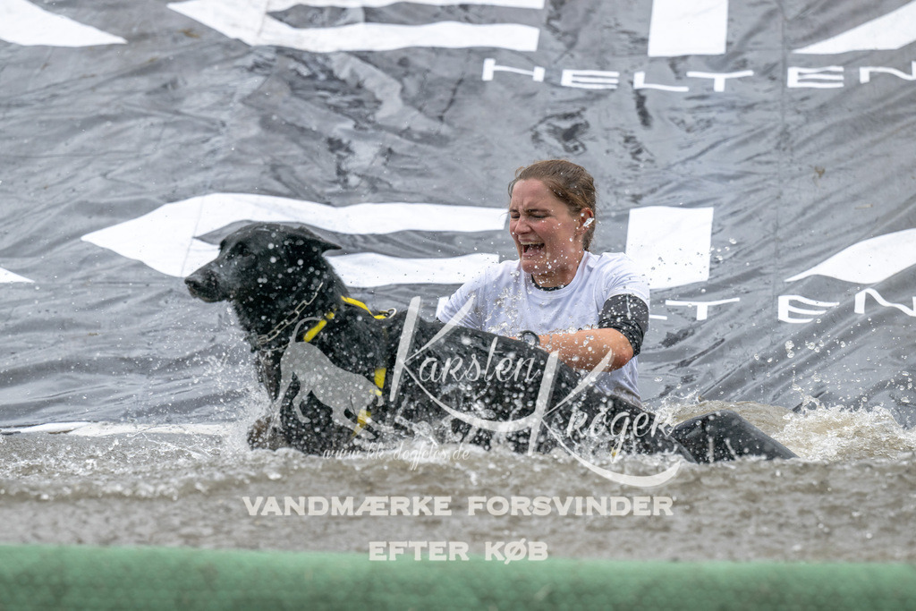 1230_ZZ94846 | kk-dogfotos