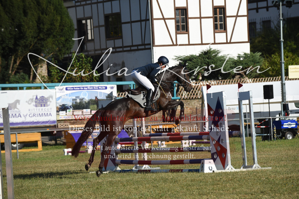 DSC_5178 | Pferde- und Turnierfotografie in Westsachsen. Pferdeportraits, Auftragszeichnungen und intuitive Kunst.