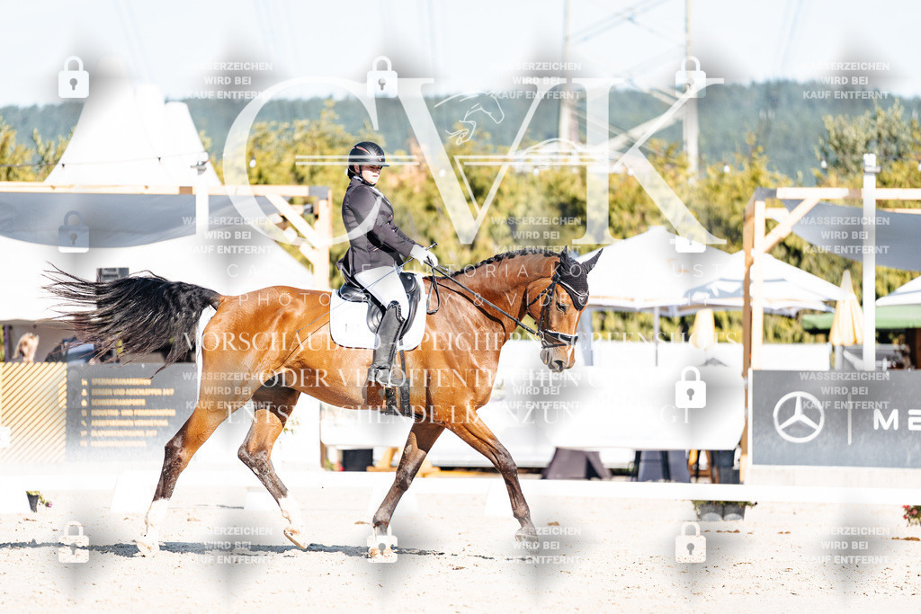 CK907631 | Turnierfotografie Pferdefotografie Trier Rheinland-Pfalz Pferdesport Reitsport Tierfotografie Sportfotografie Pferdevideo Pferdevideografie Equestrianvideography equestrianphotography  - Realisiert mit Pictrs.com