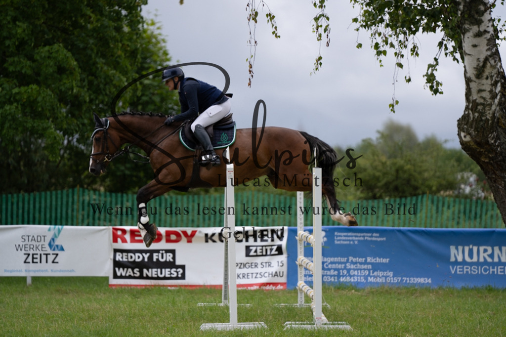 A7V03924 | Pferdefotograf