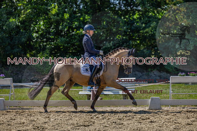 15.8.25 -3- DRE A-192 | mandyhollmannphotographie