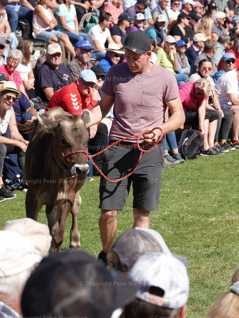 DSC05585 | Schwingen - Realisiert mit Pictrs.com