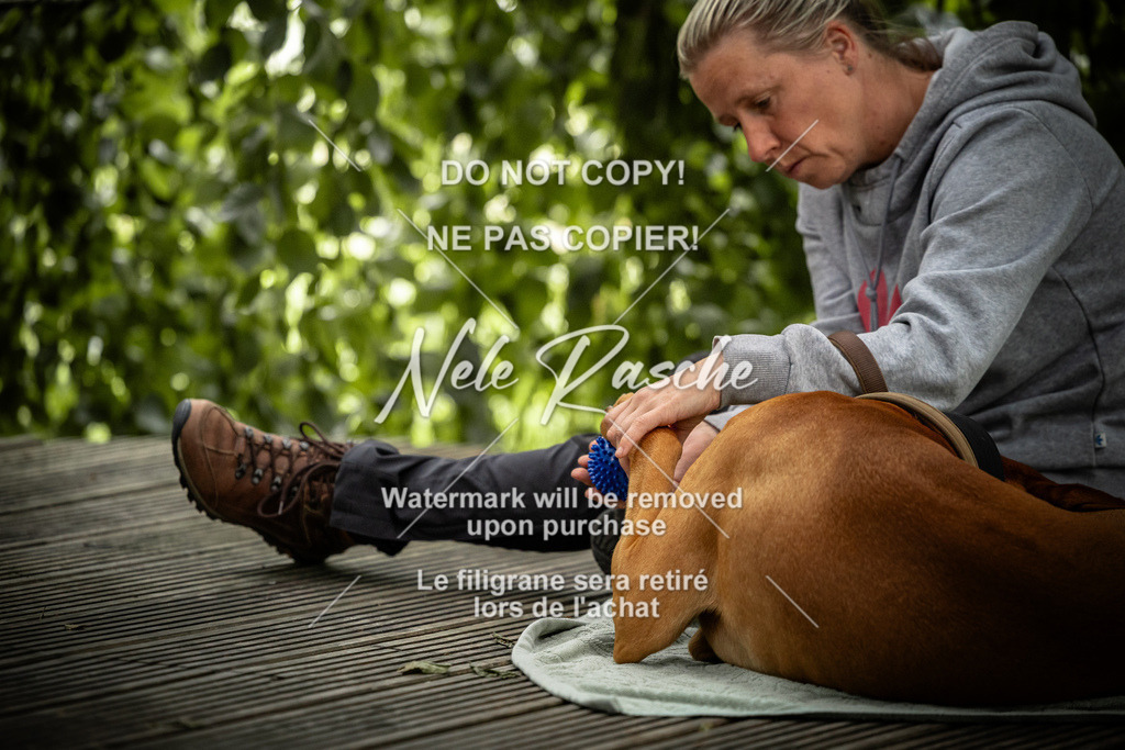 nelerasche_SaN_57 | nelerasche