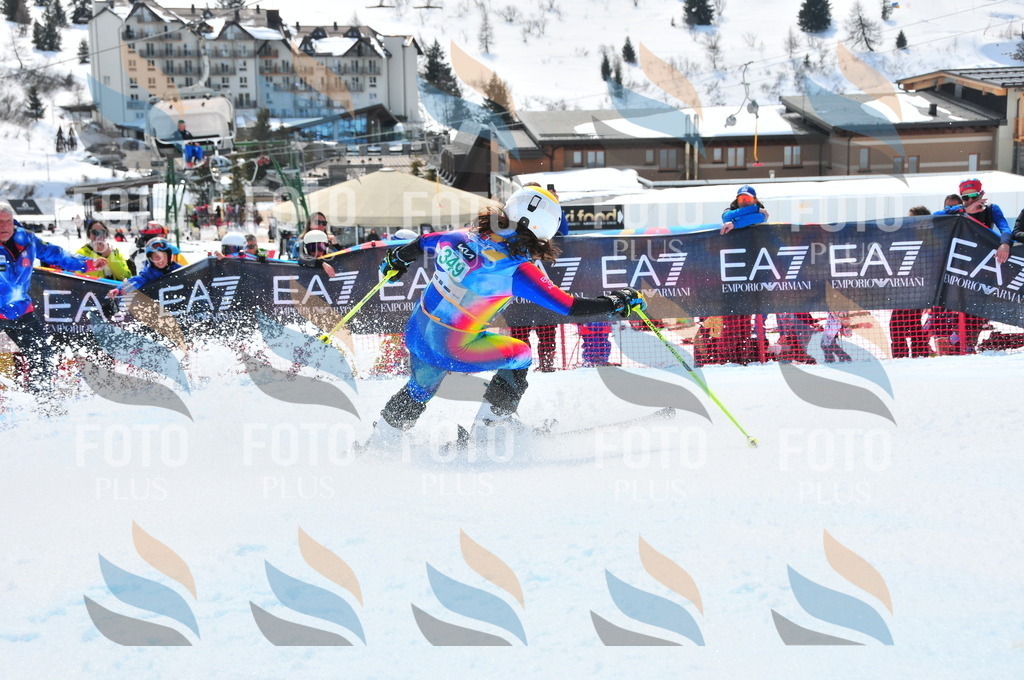 DSC_3142 | holidayphoto