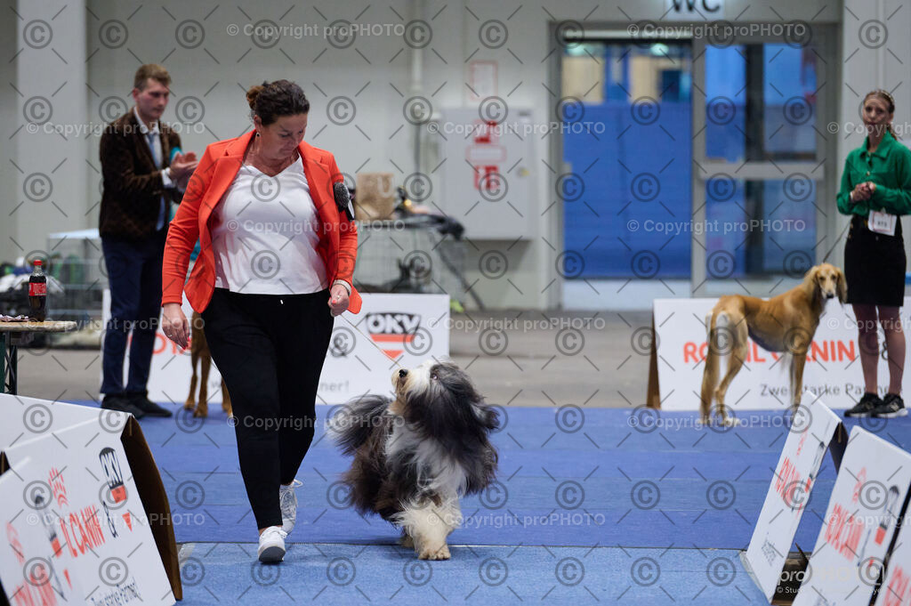 202406_ÖKV-IHA-Tulln24_DSC_3413 | proPHOTO - Realisiert mit Pictrs.com