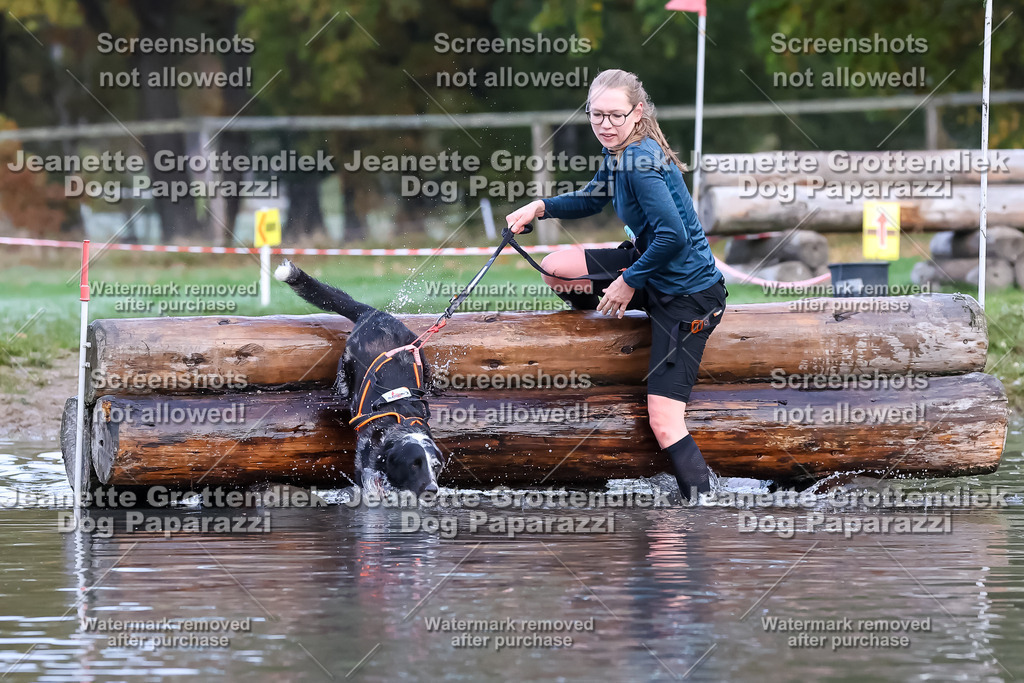 Dog Paparazzi - Strongdog 10-25-6358 | Dog Paparazzi Jeanette Grottendiek Fotografie & Videografie - Realisiert mit Pictrs.com