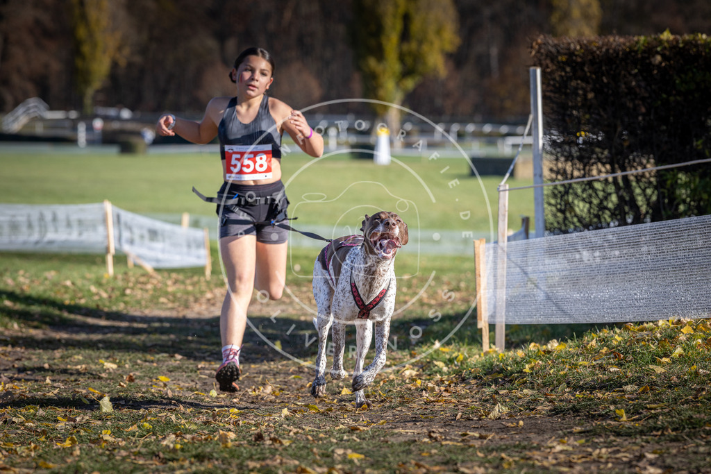 CaniXpix_DV3A8619 | Hundefotografie, Tierfotograf, Pfotenfotografie, Fotoshooting Hund, Hunde Portrait, Hundesport, Hundeportraits, Heideshooting, Hunde, Sportfotograf, Hundefotograf, Turnierhundsport, THS,  - Realisiert mit Pictrs.com