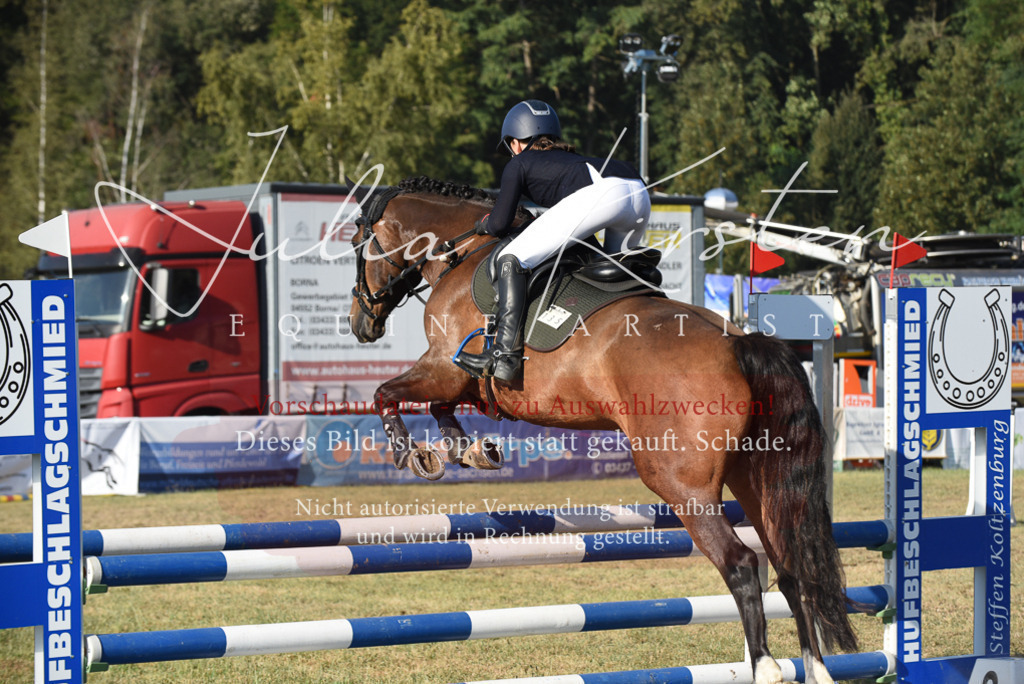 DSC_5102 | Pferde- und Turnierfotografie in Westsachsen. Pferdeportraits, Auftragszeichnungen und intuitive Kunst.
