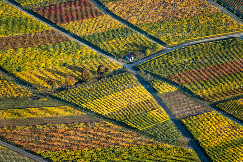 3905387 | Weinbergslandschaft an der Mainschleife bei Escherndorf und Nordheim
