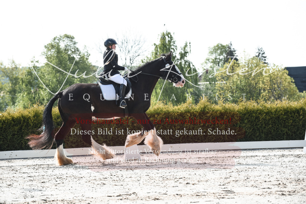 20230518_JK-Röhrsdorf-09-0944 | Pferde- und Turnierfotografie in Westsachsen. Pferdeportraits, Auftragszeichnungen und intuitive Kunst.