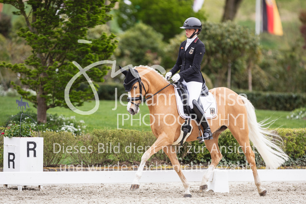 260412_Kronberg_L-Dressur_Pony-262 | Deine schönsten Turniermomente als professionelle Fotos! Entdecke hochwertige Pferdesport-Fotografie im Online-Shop. Jetzt Fotos finden & bestellen!