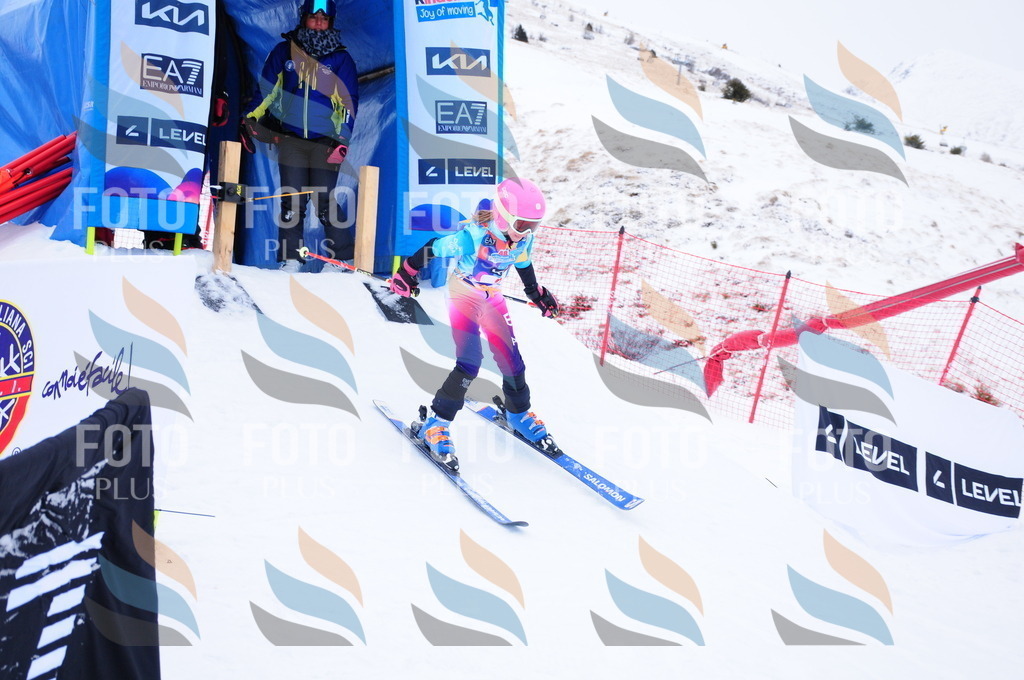 DSC_7544 | holidayphoto