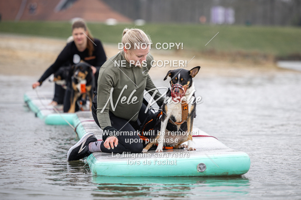nelerasche_Hulsbeek_Sa1130-1230_39 | nelerasche