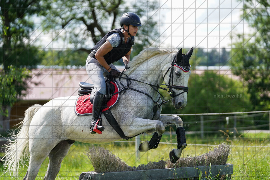 20240622-FAH07809 | Turnierfotografen Bayern, Reitsportbilder aus dem Geländekurs mit Felix Etzel auf dem Gut Waitzacker 2024