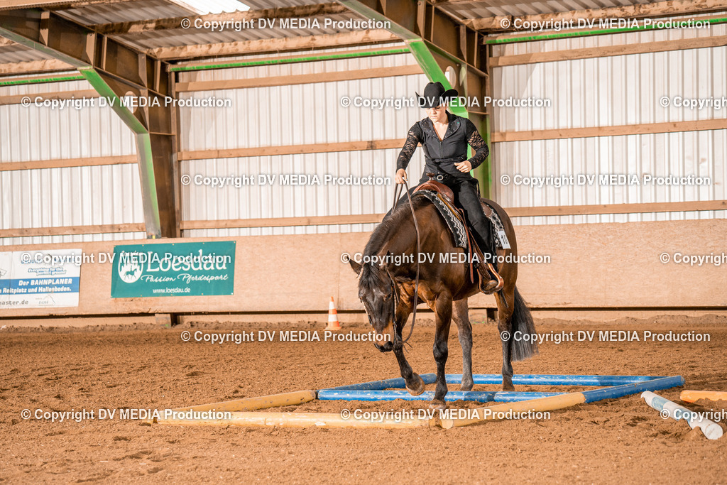 BAL00638 | dv-media-shop - Realisiert mit Pictrs.com