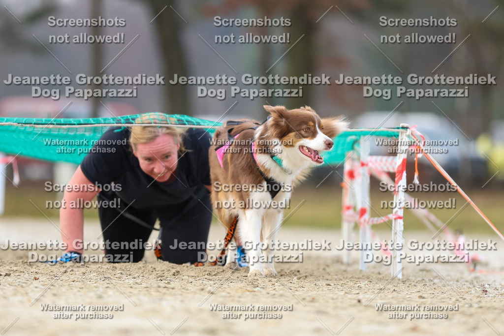 Dog Paparazzi - Strongdog North Mrz26-4110 | Dog Paparazzi Jeanette Grottendiek Fotografie & Videografie - Realisiert mit Pictrs.com