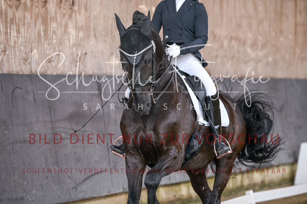 Schugtsche-Aluta25-57.Dressurprf.M1Kand-188 | Schugtsche Fotografie - Realisiert mit Pictrs.com