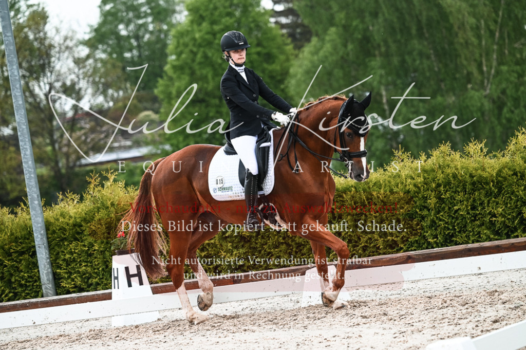 DSC_4291 | Pferde- und Turnierfotografie in Westsachsen. Pferdeportraits, Auftragszeichnungen und intuitive Kunst.