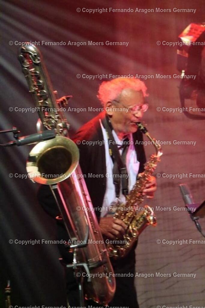 IMG_4597 | aragon-pics - Realisiert mit Pictrs.com