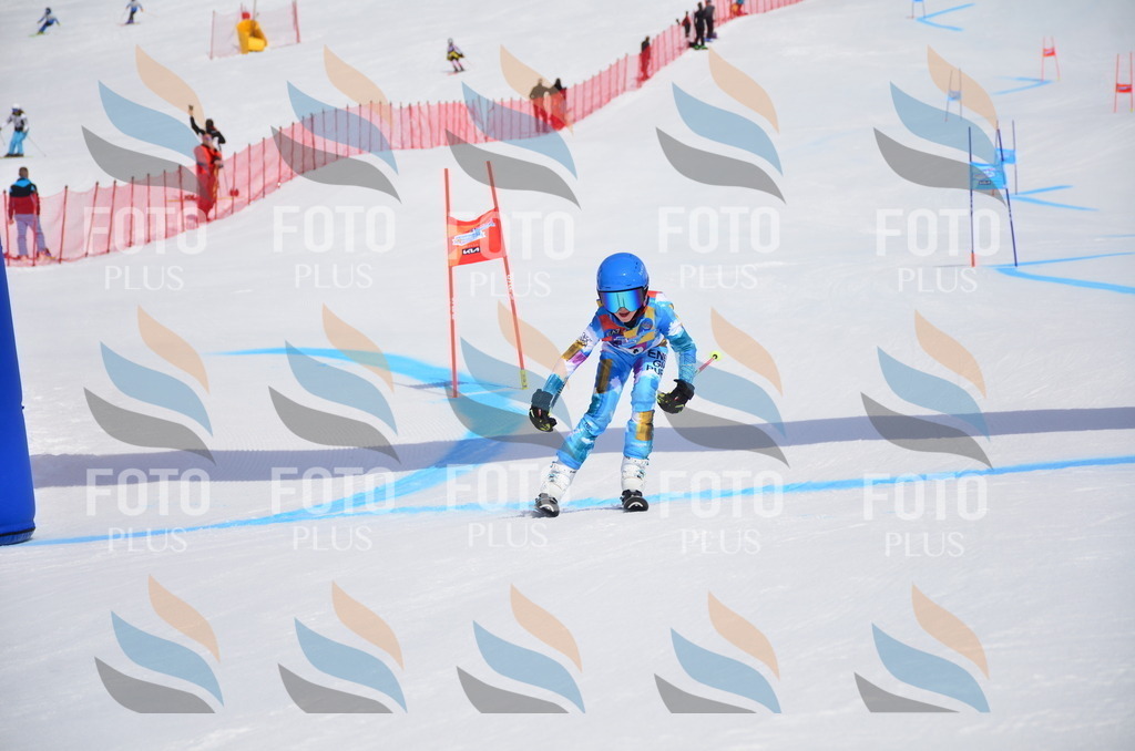 VR4_6718 | holidayphoto