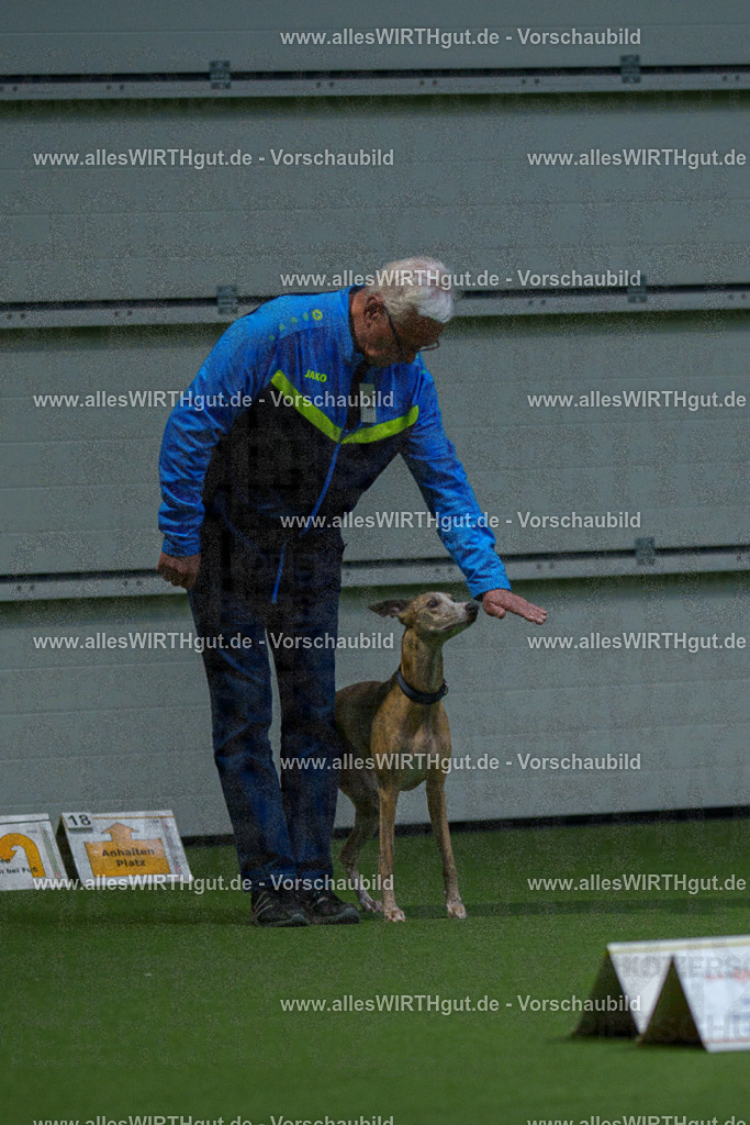 7R500378 | Professionelle Tierfotografie in Mönchengladbach von Daniel Wirth (allesWIRTHgut). Liebevolle & natürliche Bilder von Hunden & Katzen für unvergessliche Erinnerungen.