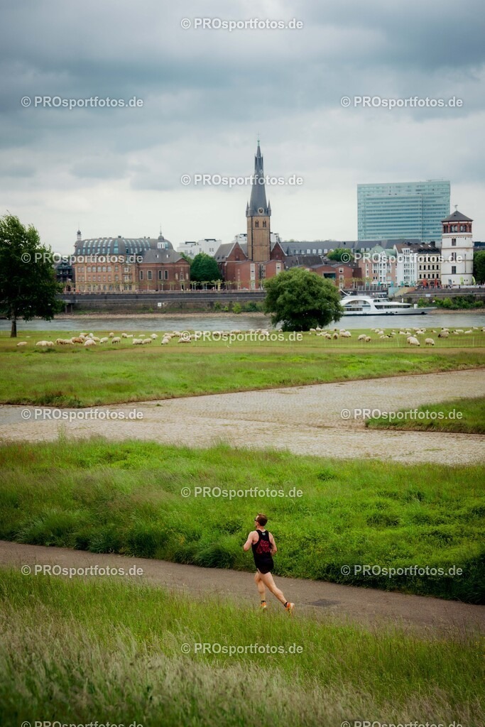 Brückenlauf, 17.05.2026 | am 17.05.2026 bei SPARDA-BANK Brückenlauf in Düsseldorf