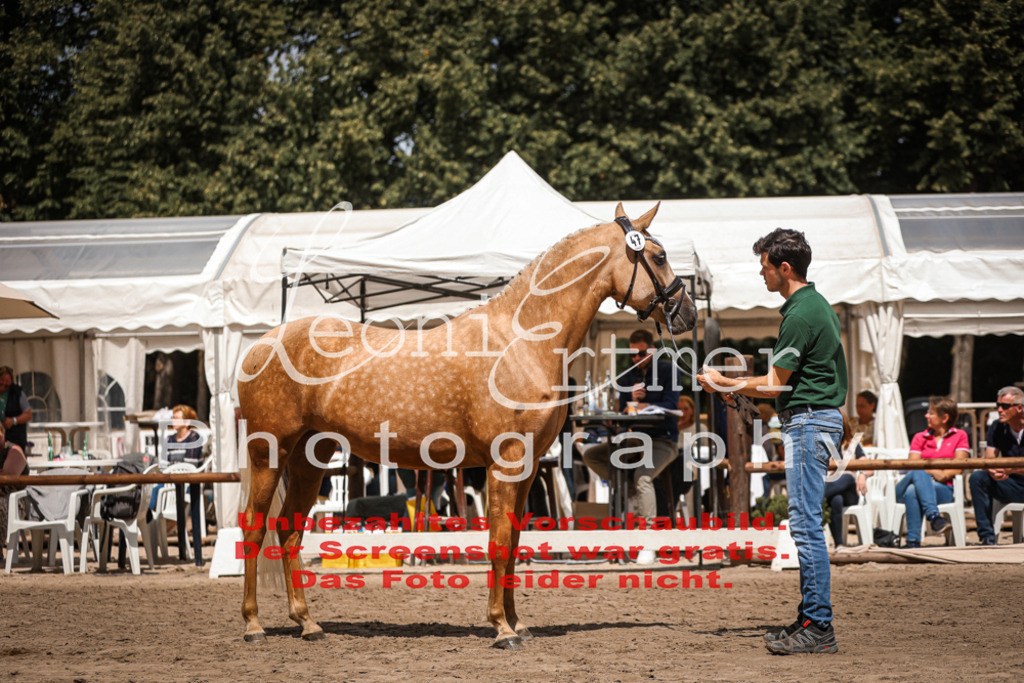 8.So00101 | Leoni Ertmer Photography - Realisiert mit Pictrs.com