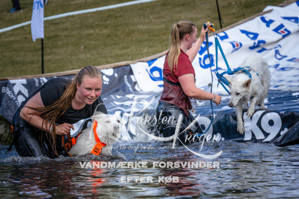 _ZZ919620919 | kk-dogfotos