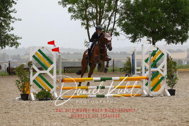 DKP47374 | Turniersportfotografie; Pferdefotografie; Dressurfotografie