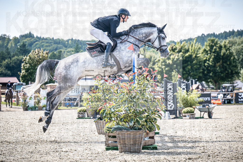 DOS_6242 | Entdecke hochwertige Reitturnierfotos von Foto Oger. Professionell, emotional und authentisch – jetzt Lieblingsmomente im Shop bestellen.Deutschlandweite Turnierfotografie. - Realisiert mit Pictrs.com