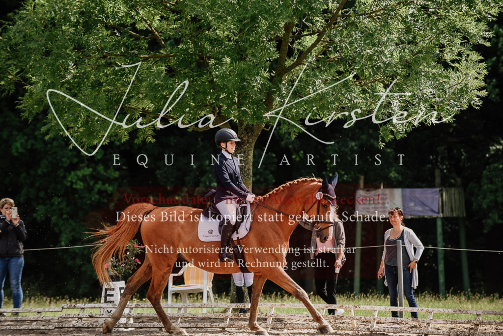 DSC_0036 | Pferde- und Turnierfotografie in Westsachsen. Pferdeportraits, Auftragszeichnungen und intuitive Kunst.