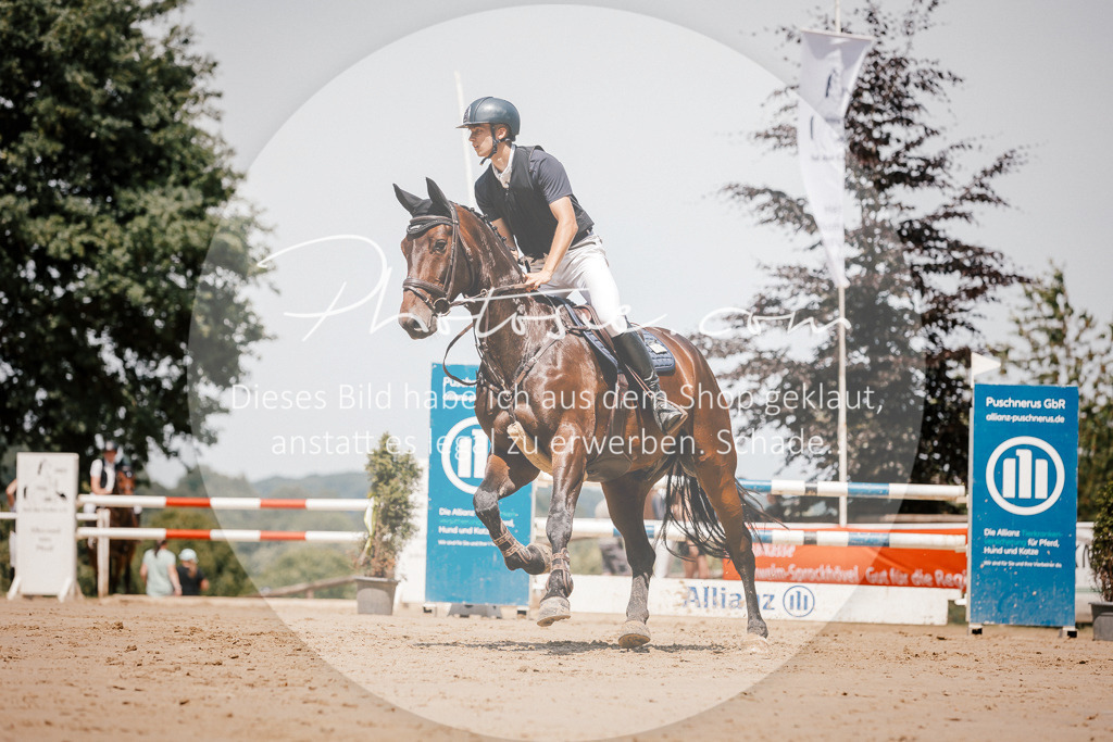 3I6A8097 | Stimmungsvolle Portraits und Reitsportfotografie im Ruhrgebiet und im Münsterland.

Pferdefotografie, Hundefotografie, Tierfotografie, Reportagen, Portraits von Tier und Mensch, Turnierfotografie in Bochum, Recklinghausen, Marl, Haltern am See, Dülmen.. - Realisiert mit Pictrs.com