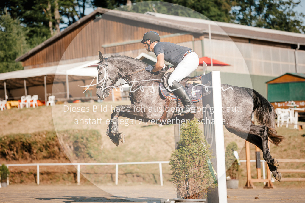 3I6A6106 | Stimmungsvolle Portraits und Reitsportfotografie im Ruhrgebiet und im Münsterland.

Pferdefotografie, Hundefotografie, Tierfotografie, Reportagen, Portraits von Tier und Mensch, Turnierfotografie in Bochum, Recklinghausen, Marl, Haltern am See, Dülmen.. - Realisiert mit Pictrs.com