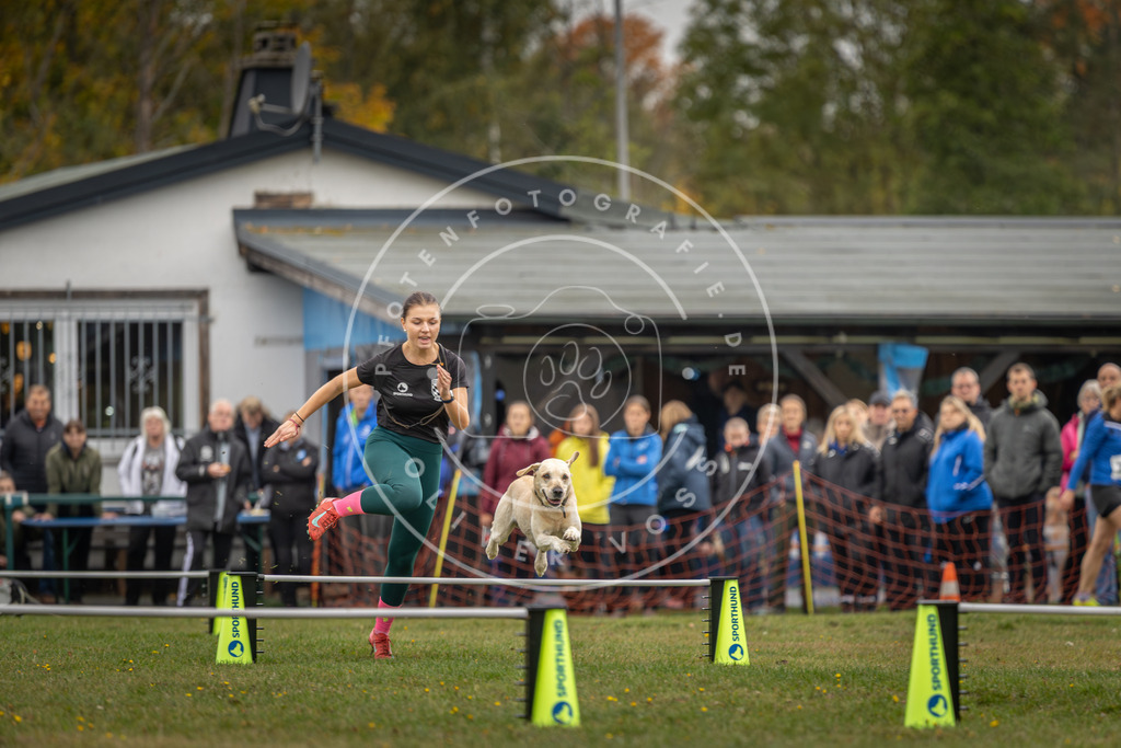 Pfotenfotografie_DV3A3109 | Hundefotografie, Tierfotograf, Pfotenfotografie, Fotoshooting Hund, Hunde Portrait, Hundesport, Hundeportraits, Heideshooting, Hunde, Sportfotograf, Hundefotograf, Turnierhundsport, THS,  - Realisiert mit Pictrs.com
