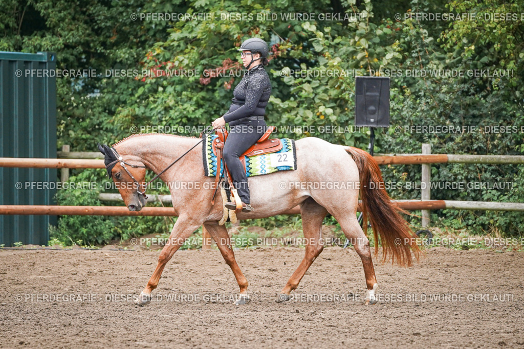 DSC01741 | Pferdegrafie