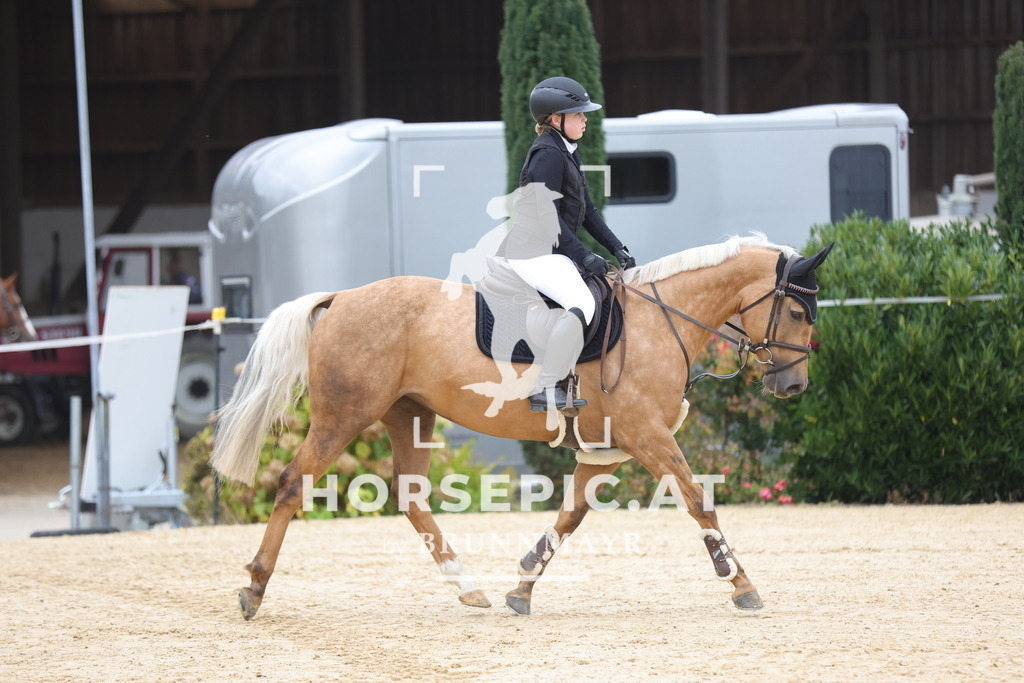 0P6A7575 | Willkommen bei Brunnmayr - Design & Fotografie – Ihrem Spezialisten für Reitturniere und Pferdeveranstaltungen in Oberösterreich, Salzburg und Bayern! Seit über 17 Jahren sind wir leidenschaftlich dabei.