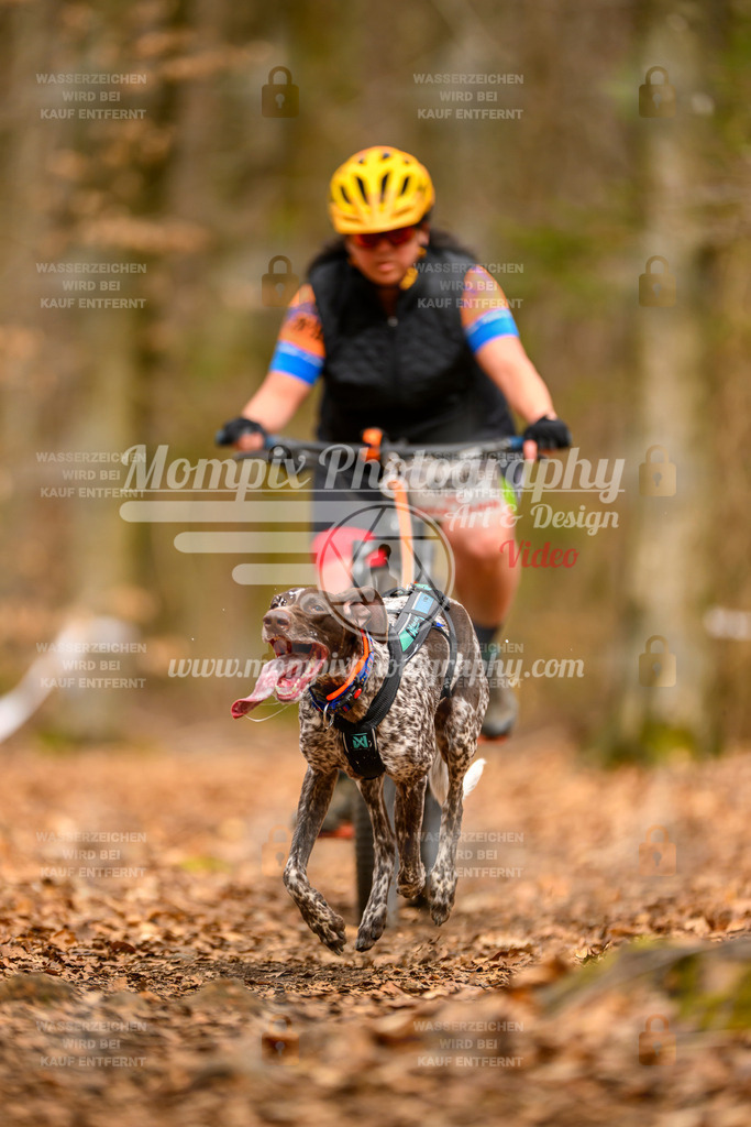 MompixPhotography_Habay2025_SA_Bike-156 | PayLife