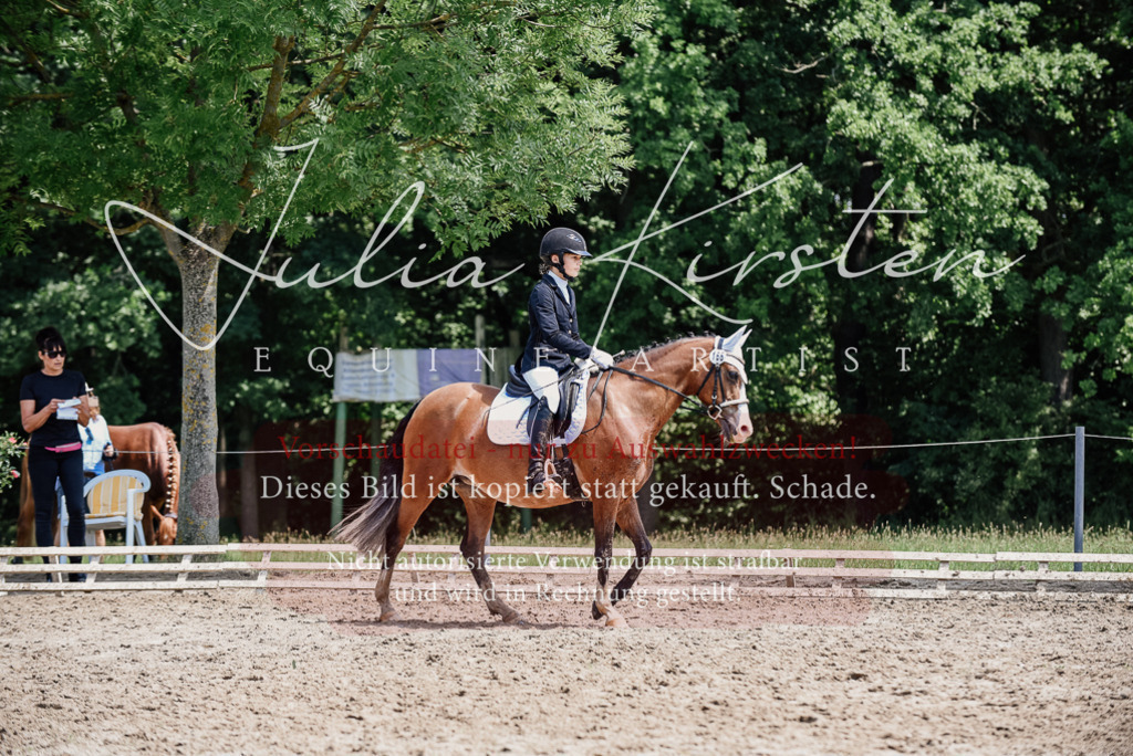 DSC_1928 | Pferde- und Turnierfotografie in Westsachsen. Pferdeportraits, Auftragszeichnungen und intuitive Kunst.