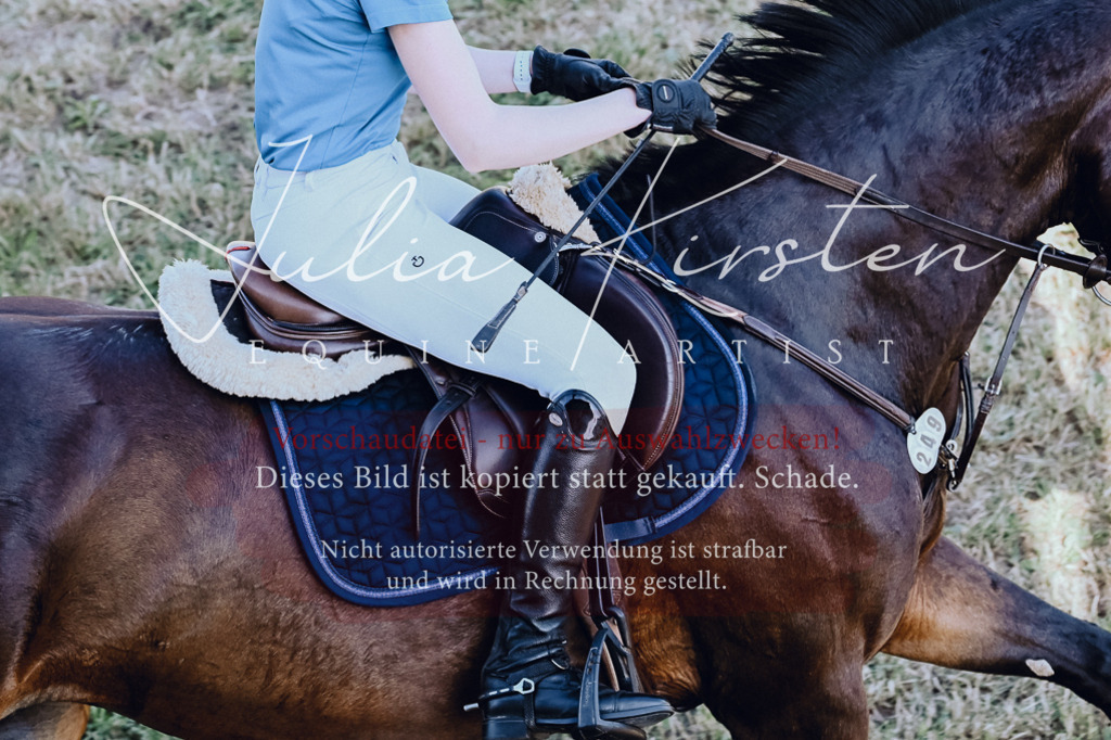 DSC_2384 | Pferde- und Turnierfotografie in Westsachsen. Pferdeportraits, Auftragszeichnungen und intuitive Kunst.