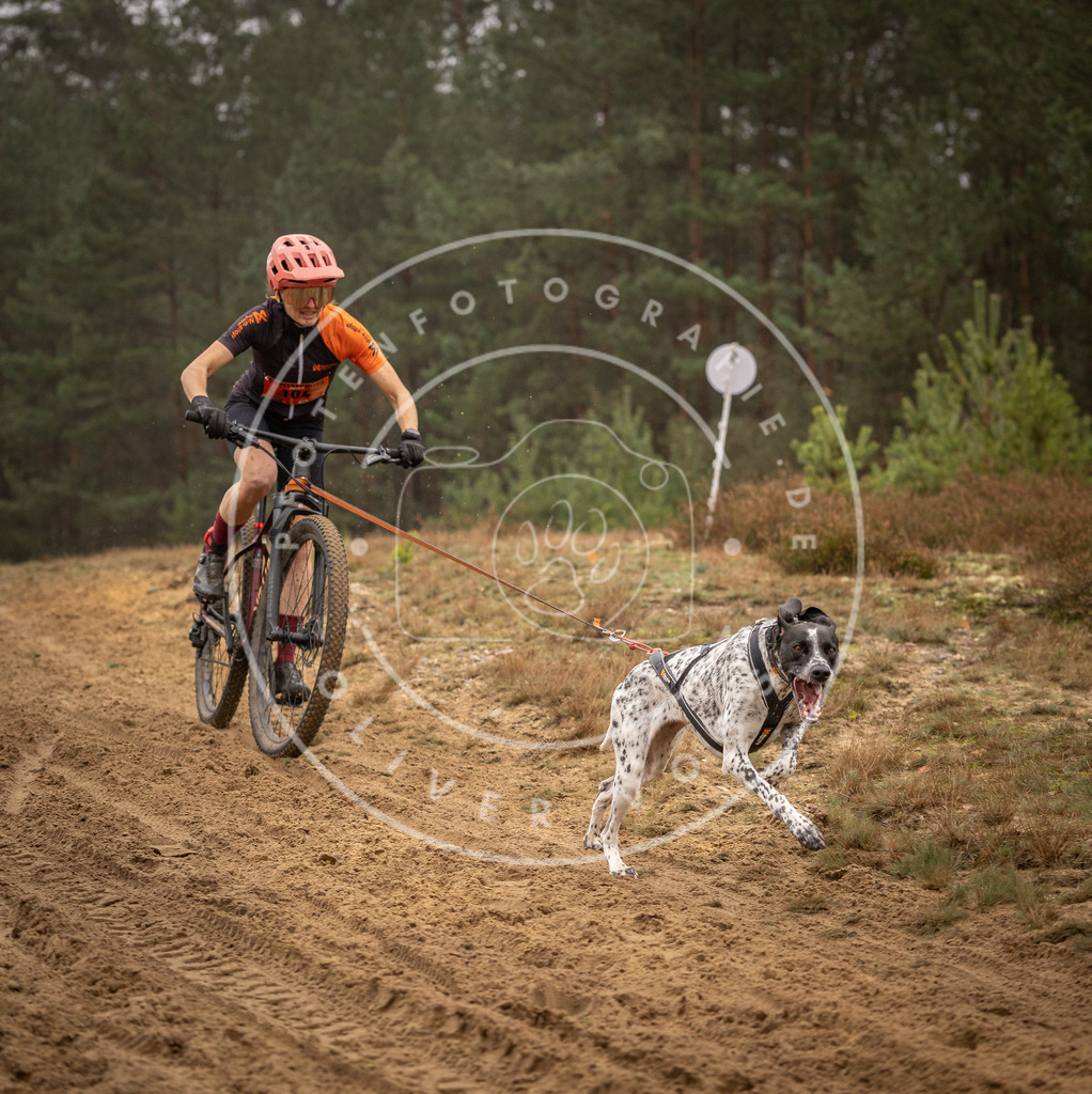 Pfotenfotografie_DV3A3244 | Hundefotografie, Tierfotograf, Pfotenfotografie, Fotoshooting Hund, Hunde Portrait, Hundesport, Hundeportraits, Heideshooting, Hunde, Sportfotograf, Hundefotograf, Turnierhundsport, THS,  - Realisiert mit Pictrs.com