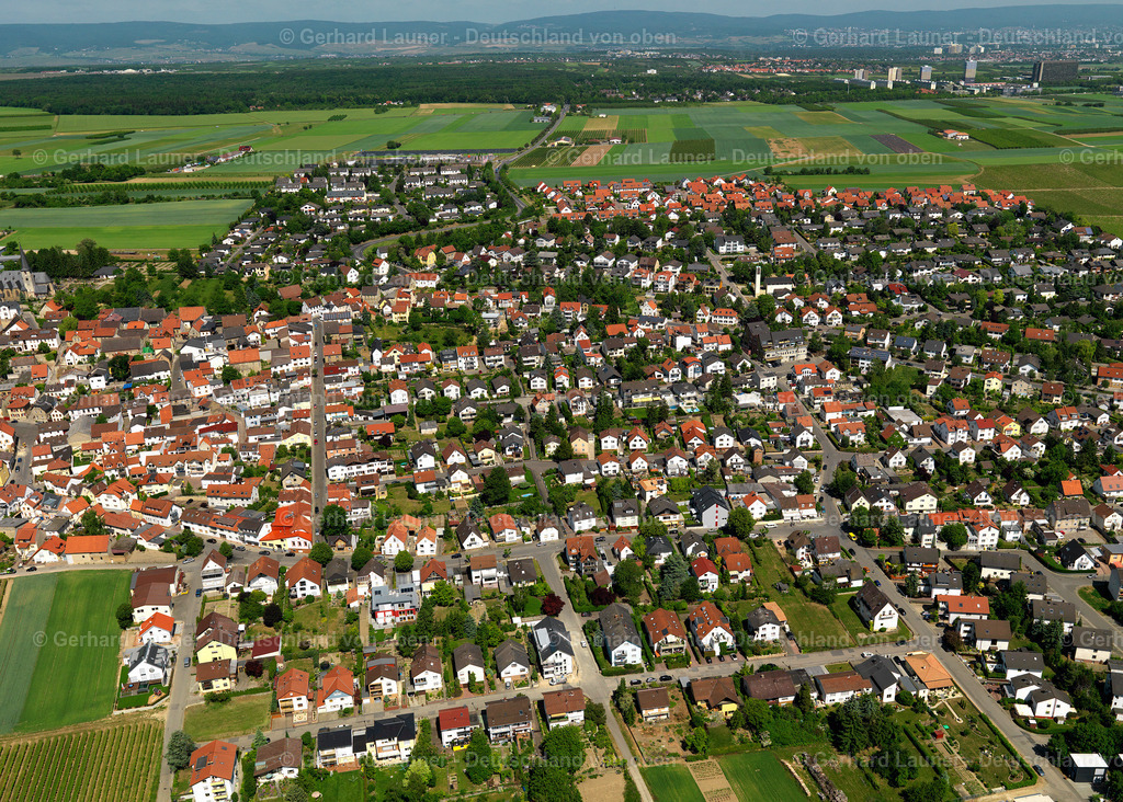 3134142-Ober-Olm | Ober-Olm