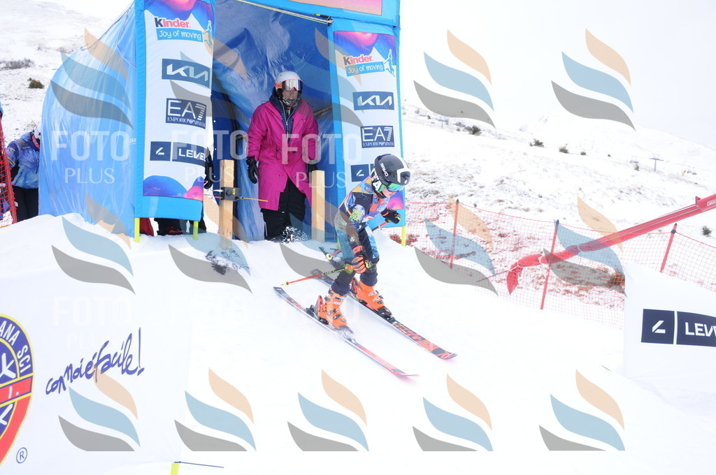 DSC_8846 | holidayphoto